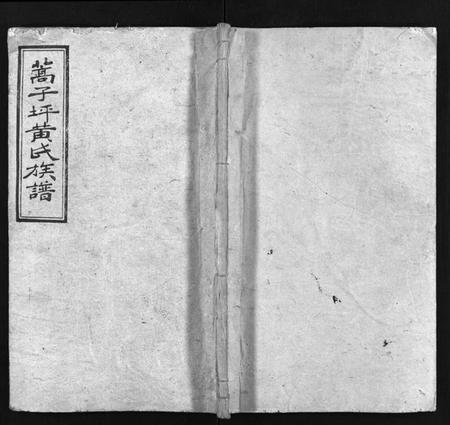 湖南黄氏族谱-蒿子坪黄氏族谱 [12卷,首4卷].pdf电子版预览图1