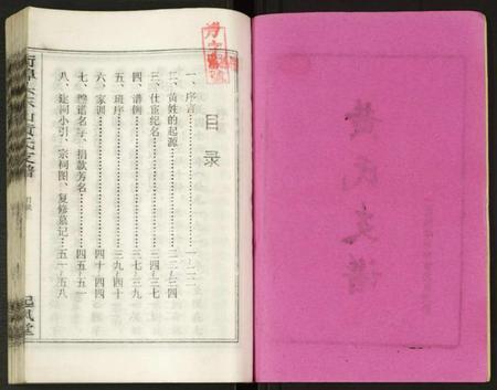 湖南黄氏族谱-街埠头东山黄氏支谱 [12卷,首1卷].pdf电子版预览图2