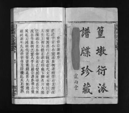 江西傅氏族谱-篁墩傅氏宗谱 [12卷,首末各1卷].pdf电子版预览图2