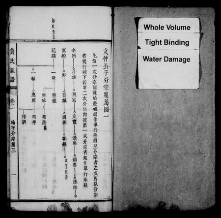 湖南黄氏族谱-黄氏族谱 [15卷,首1卷].pdf电子版预览图2