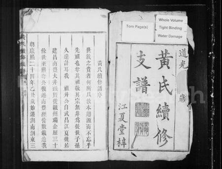 湖南黄氏族谱-黄氏续修族谱.pdf电子版预览图2