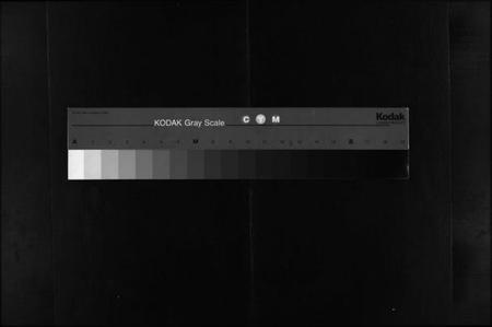 湖南黄氏族谱-上湘城北黄氏续修族谱 [12卷].pdf电子版缩略图