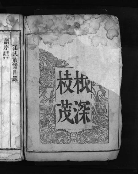 湖南江氏族谱-江氏族谱 [不分卷].pdf电子版预览图2