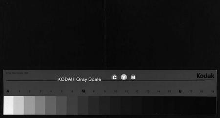 湖南江氏族谱-江氏族谱[总卷数不详].pdf电子版缩略图