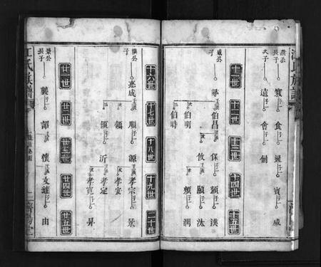 湖南江氏族谱-江氏族谱[总卷数不详].pdf电子版预览图3