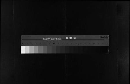 湖南蒋氏族谱-湘乡石龙蒋氏族谱 [按房分卷].pdf电子版缩略图