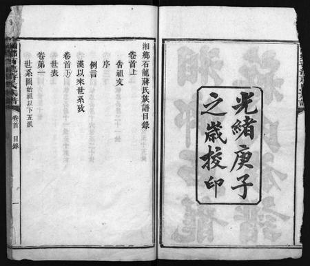 湖南蒋氏族谱-湘乡石龙蒋氏族谱 [按房分卷].pdf电子版预览图3