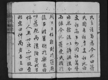 湖南蒋氏族谱-蒋氏族谱[不分卷].pdf电子版预览图2