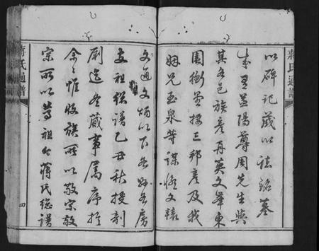 湖南蒋氏族谱-蒋氏族谱[不分卷].pdf电子版预览图4