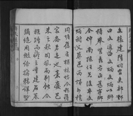 湖南蒋氏族谱-蒋氏族谱[不分卷].pdf电子版预览图3