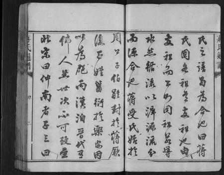 湖南蒋氏族谱-蒋氏族谱[不分卷].pdf电子版预览图2