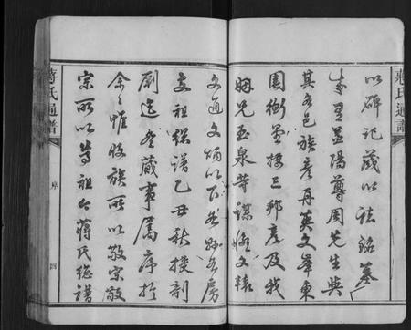 湖南蒋氏族谱-蒋氏族谱[不分卷].pdf电子版预览图4