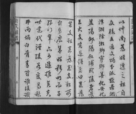 湖南蒋氏族谱-蒋氏族谱[不分卷].pdf电子版预览图5