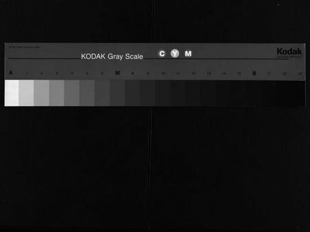 湖南蒋氏族谱-蒋氏通谱 [10卷,首4卷].pdf电子版缩略图