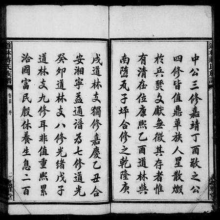 湖南蒋氏族谱-道林蒋氏族谱 [17卷,首1卷].pdf电子版预览图4