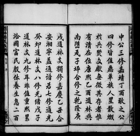 湖南蒋氏族谱-道林蒋氏族谱 [17卷,首1卷].pdf电子版预览图5