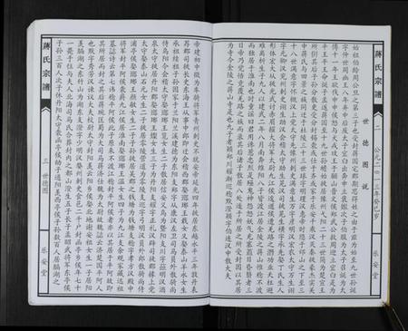 湖南蒋氏族谱-蒋氏七修宗谱 [不标卷数].pdf电子版预览图2