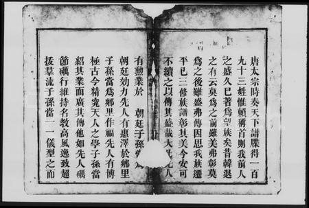 湖南赖氏族谱-赖氏族谱 [10卷,首1卷].pdf电子版预览图4