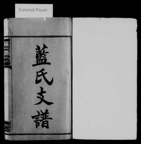 湖南蓝氏族谱-醴西蓝氏三修支谱 [4卷,首1卷].pdf电子版预览图2