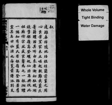 湖南蓝氏族谱-醴西蓝氏三修支谱 [4卷,首1卷].pdf电子版预览图4