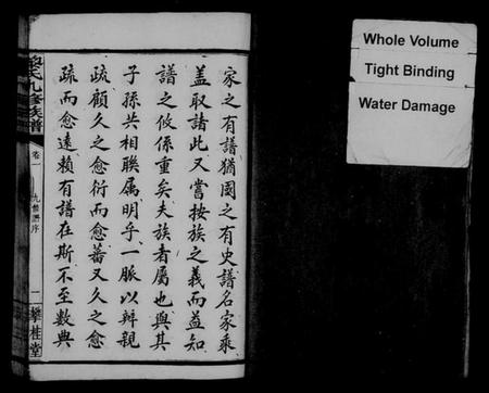 湖南黎氏族谱-黎氏九修族谱 [14卷].pdf电子版预览图4