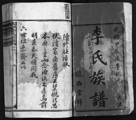 湖南李氏族谱-七甲李氏族谱 [18卷,首2卷].pdf电子版预览图2