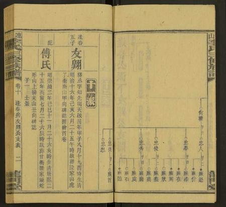 湖南李氏族谱-上湘李氏族谱 [42卷,首3卷,末1卷].pdf电子版预览图2