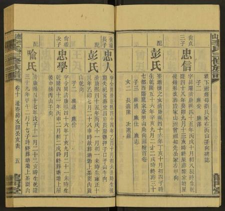 湖南李氏族谱-上湘李氏族谱 [42卷,首3卷,末1卷].pdf电子版预览图5