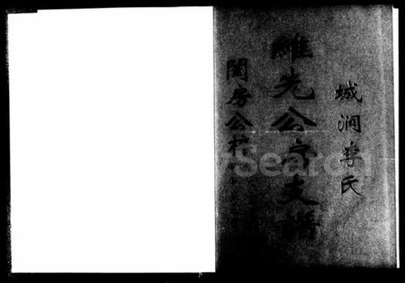 湖南李氏族谱-城涧李氏维先公房支谱.pdf电子版预览图2