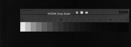 湖南李氏族谱-城福李氏八修家乘 [共98卷,首末各1卷].pdf电子版缩略图