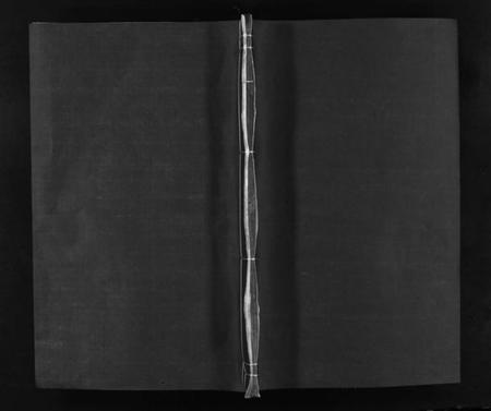 湖南李氏族谱-常丰十甲李氏族谱 [不分卷].pdf电子版预览图1