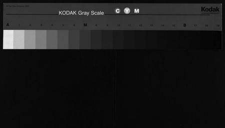 湖南李氏族谱-李敦本堂续谱 [13卷,首2卷].pdf电子版缩略图