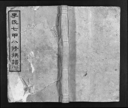 湖南李氏族谱-李氏七甲八修族谱 [16卷,首2卷].pdf电子版预览图1