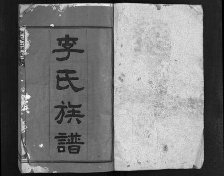 湖南李氏族谱-李氏七甲八修族谱 [16卷,首2卷].pdf电子版预览图2