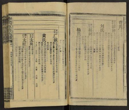 湖南李氏族谱-李氏五修族谱 [29卷,首末各1卷].pdf电子版预览图2