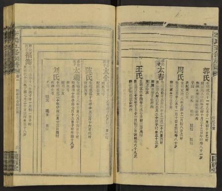 湖南李氏族谱-李氏五修族谱 [29卷,首末各1卷].pdf电子版预览图3