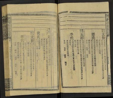 湖南李氏族谱-李氏五修族谱 [29卷,首末各1卷].pdf电子版预览图5