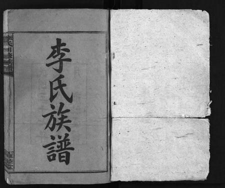 湖南李氏族谱-李氏四修族谱 [22卷,首2卷].pdf电子版预览图2