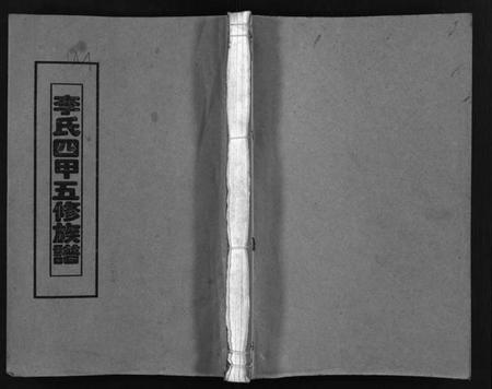 湖南李氏族谱-李氏四甲五修族谱 [27卷,首3卷].pdf电子版预览图1