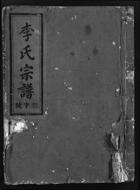 湖南李氏族谱-李氏宗谱 [不分卷].pdf电子版预览图1