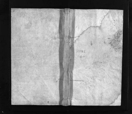 湖南李氏族谱-李氏宗谱 [残卷].pdf电子版预览图1