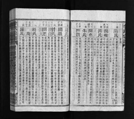 湖南李氏族谱-李氏宗谱 [残卷].pdf电子版预览图5