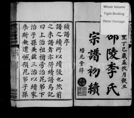 湖南李氏族谱-李氏宗谱初续 [卷数杂异].pdf电子版预览图3