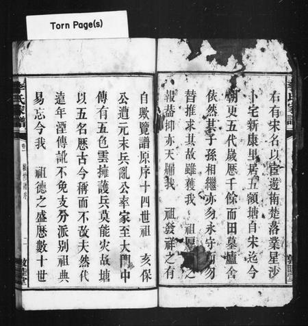 湖南李氏族谱-李氏家谱 [8卷].pdf电子版预览图4