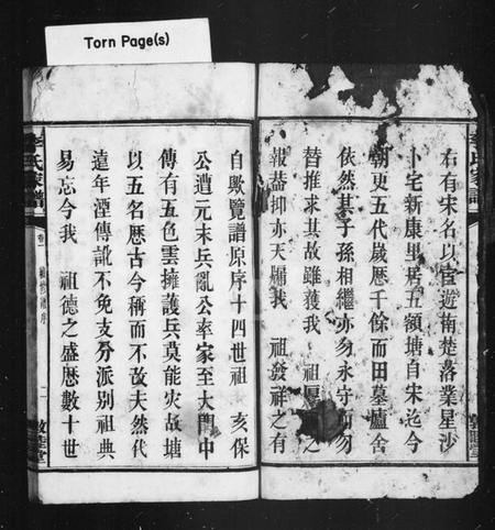 湖南李氏族谱-李氏家谱 [8卷].pdf电子版预览图5