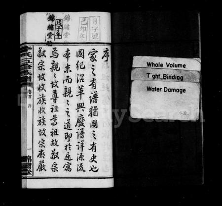 湖南李氏族谱-李氏族谱 [10卷,首末各1卷].pdf电子版预览图4