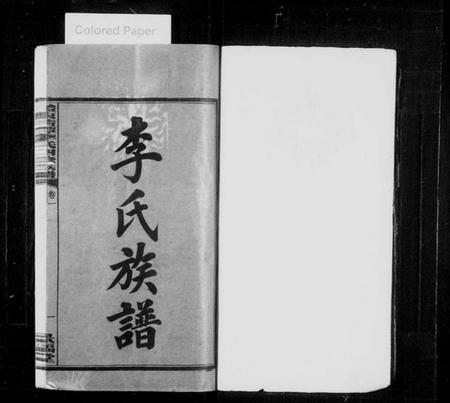 湖南李氏族谱-李氏族谱 [12卷].pdf电子版预览图2