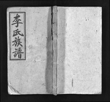 湖南李氏族谱-李氏族谱 [22卷,首2卷].pdf电子版预览图1