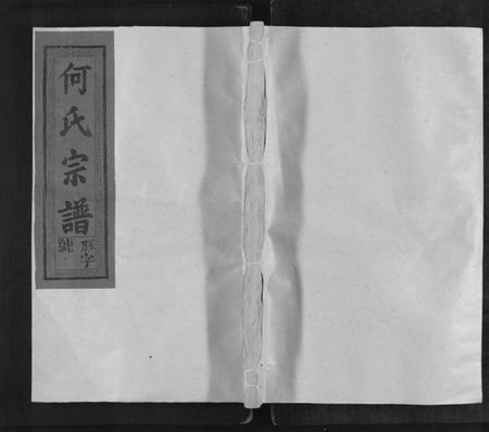 江西何氏族谱-卢江何氏宗谱[3卷,首1卷].pdf电子版缩略图