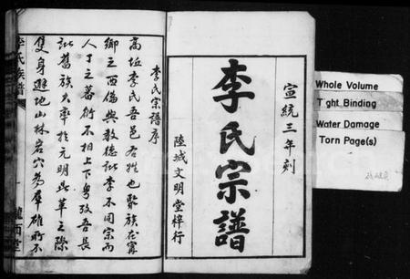 湖南李氏族谱-李氏族谱 [不分卷].pdf电子版预览图2